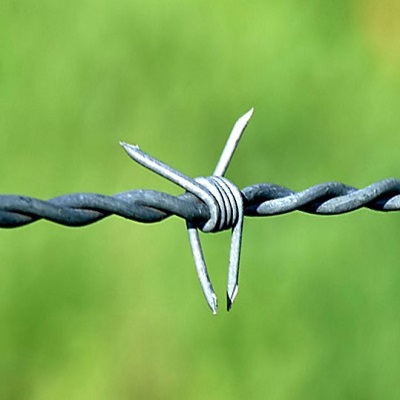 Barbed Wire