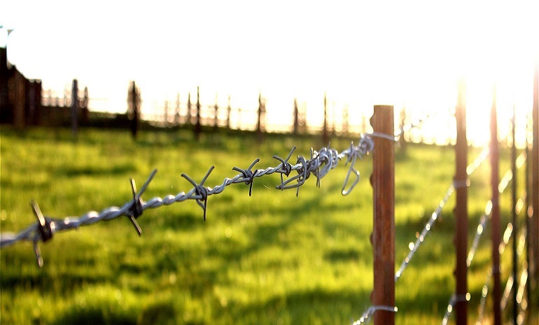 Barbed Wire
