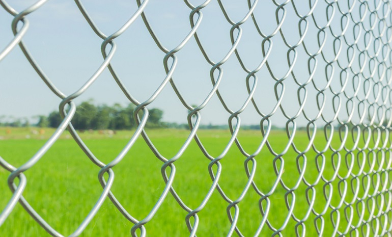 Chain Link Fence