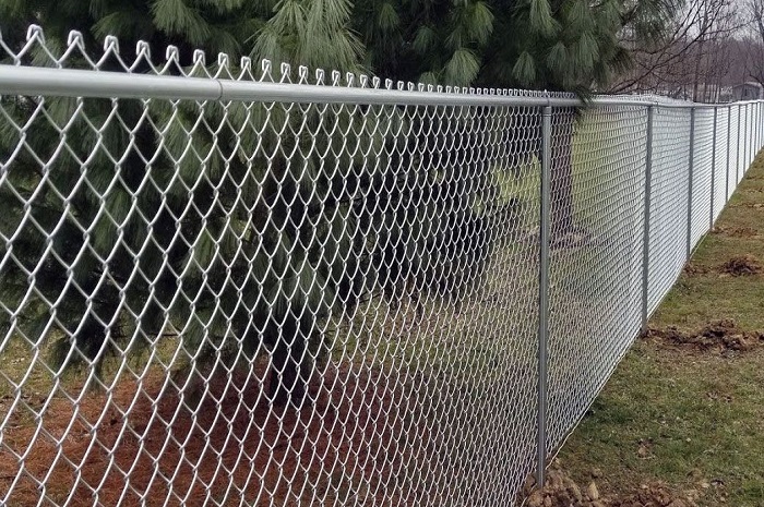 Chain Link Fence